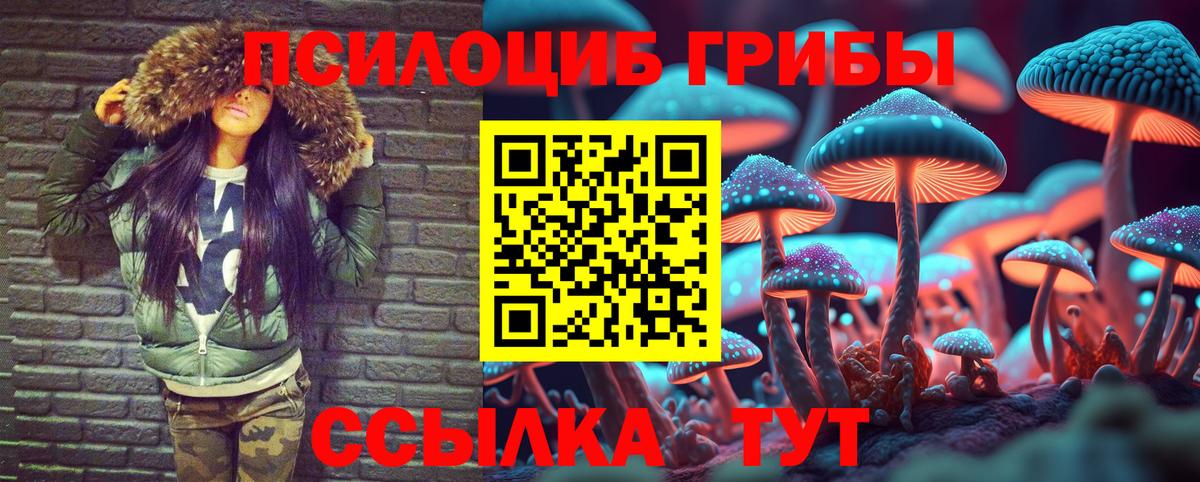 Галлюциногенные грибы мицелий Кохма